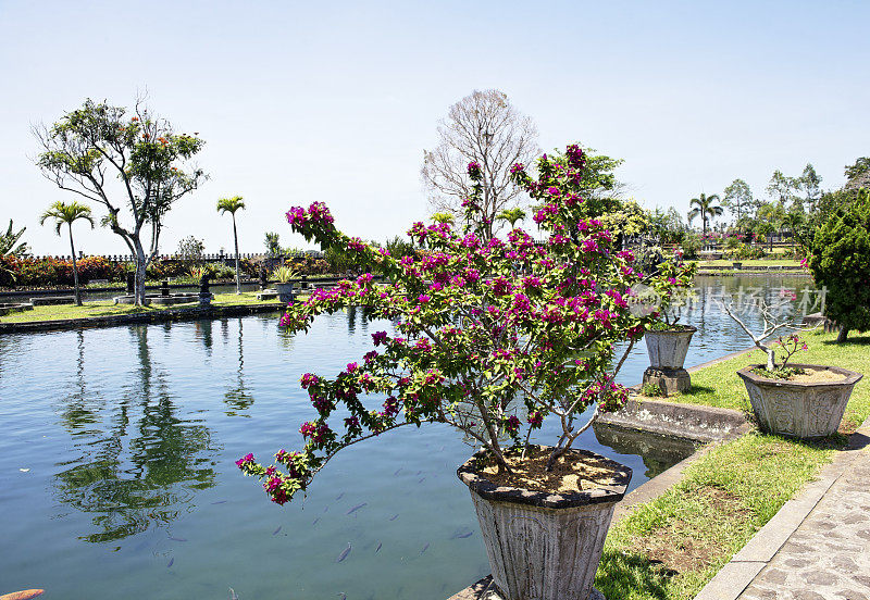 Tirta Gangga水花园，巴厘岛，印度尼西亚